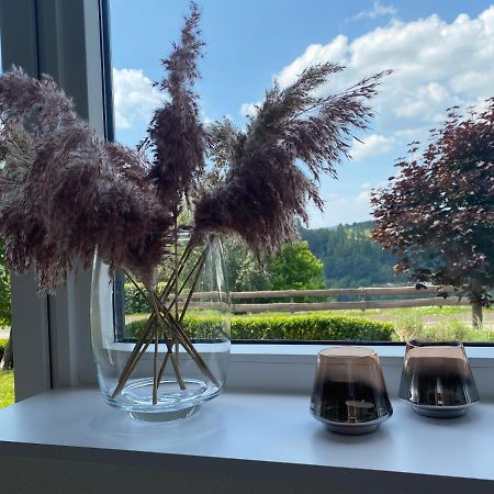 Ferienwohnung Allenberg-Panorama Вінтерберг Екстер'єр фото